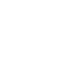 V.I.P. Mortgage, Inc.